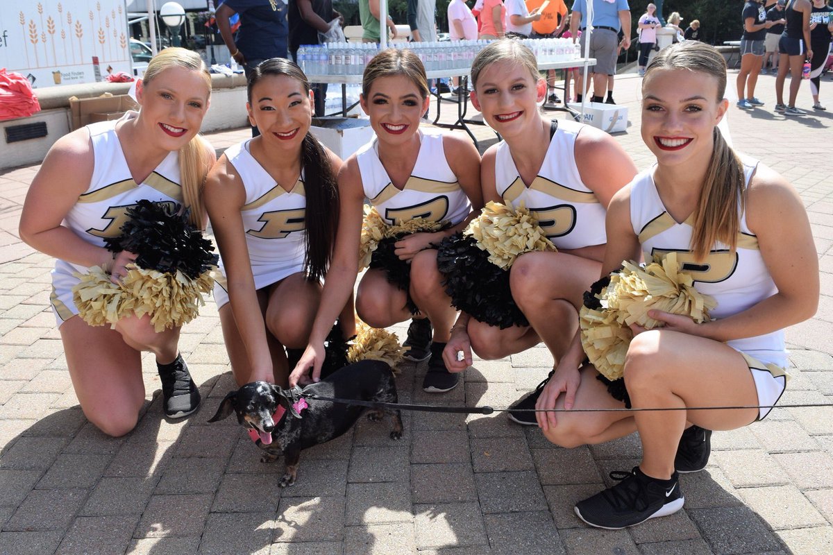 NPRMommy's tweet photo. Is there anything cuter than my puppy with @PurduePete? Well, maybe my puppy with @PurdueCheer?
Great time today at #HungerHike! https://t.co/xf9dC5voBh