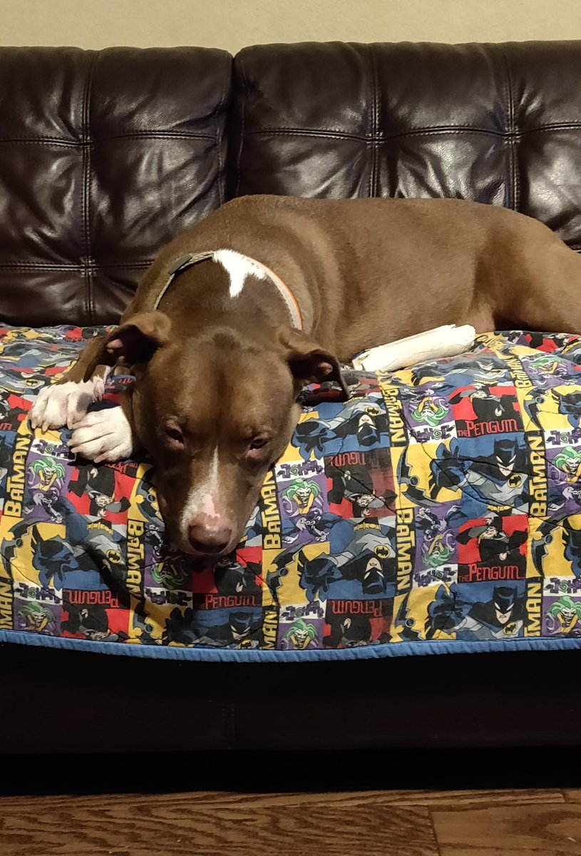 📔 Kelly 📔 tweet media