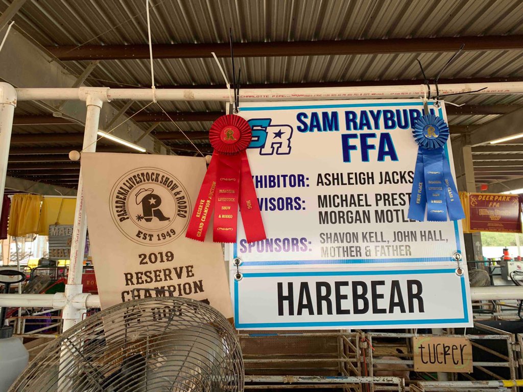 SRHS_KHernandez's tweet photo. Y’all help congratulate Ashleigh Jackson on having her hog named Reserve Grand Champion at a FFA showing! 😍 

Wish her luck this week as they continue to compete.🐷🏆 https://t.co/V81RvfiE9N