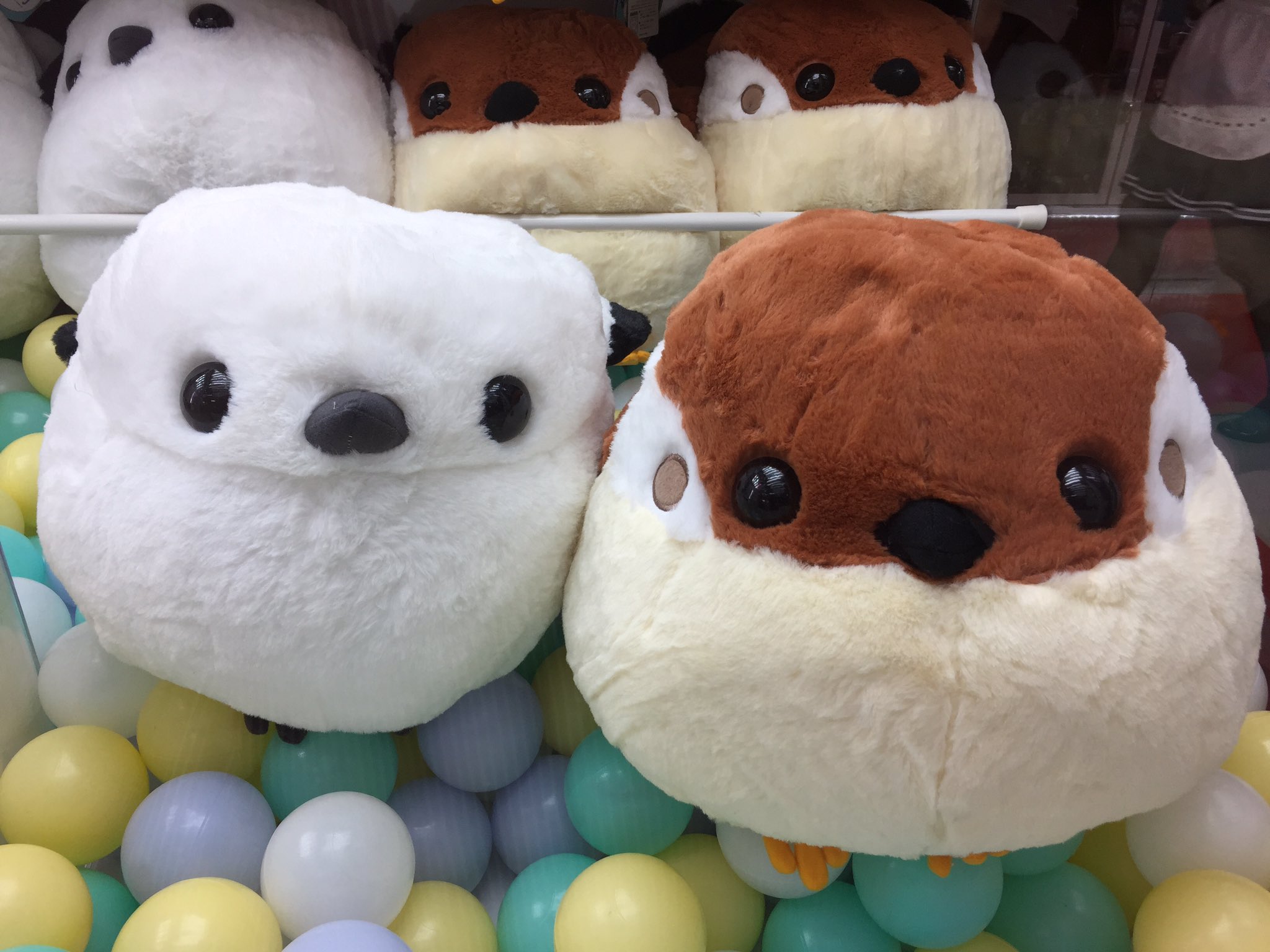 Twitter पर 万代書店岩槻アミューズ アミューズ入荷景品 ふくふくシマエナガ Bigぬいぐるみ ふっくふくのまんまるシマエナガでず 手触りが最高に気持ちいいですよ Ufoキャッチャー シマエナガ Twitter पर 万代書店岩槻アミューズ アミューズ入荷景品 ふくふくシマエナガ Bigぬいぐるみ ふっくふくのまんまるシマエナガでず 手触りが最高に気持ちいいですよ Ufoキャッチャー シマエナガ