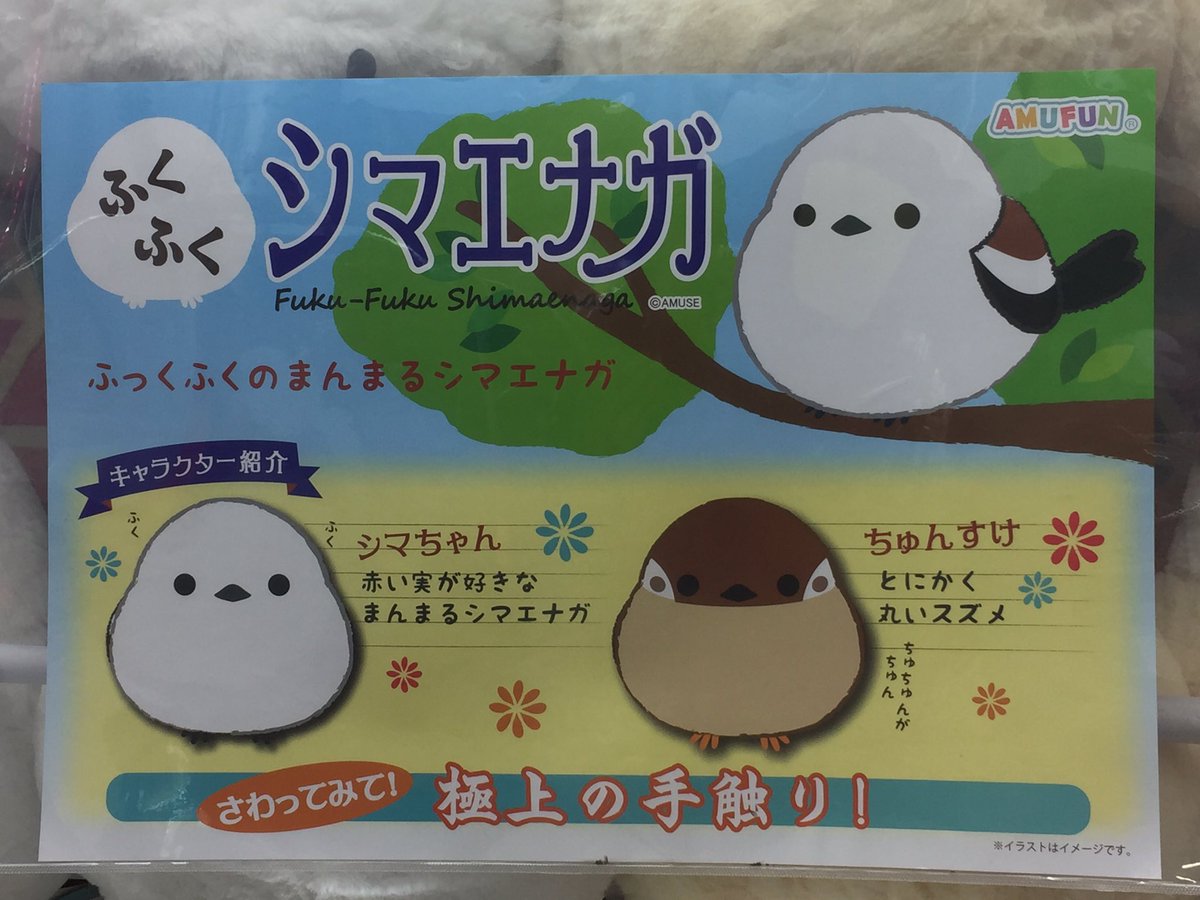 Twitter पर 万代書店岩槻アミューズ アミューズ入荷景品 ふくふくシマエナガ Bigぬいぐるみ ふっくふくのまんまるシマエナガでず 手触りが最高に気持ちいいですよ Ufoキャッチャー シマエナガ Twitter पर 万代書店岩槻アミューズ アミューズ入荷景品 ふくふくシマエナガ Bigぬいぐるみ ふっくふくのまんまるシマエナガでず 手触りが最高に気持ちいいですよ Ufoキャッチャー シマエナガ