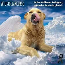 good37405813's tweet photo. MAR DEL TUYU... ASESINO SUELTO !
Aca tienen su nombre y Apellido https://t.co/GYi71FPCeh