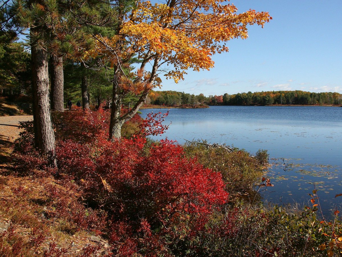 shimonfly's tweet photo. BEST NATIONAL PARKS TO VISIT IN FALL  https://t.co/e7FcIhvrvm  🍂🏞️

#Shimonfly #daydtrip #nationalpark #visit #hike #hikingadventures #outdoor #outdoorlife #nature #NaturePhotography #fall #trip #traveling #MondayMotivation #MondayMood https://t.co/9w4zWHoOz7