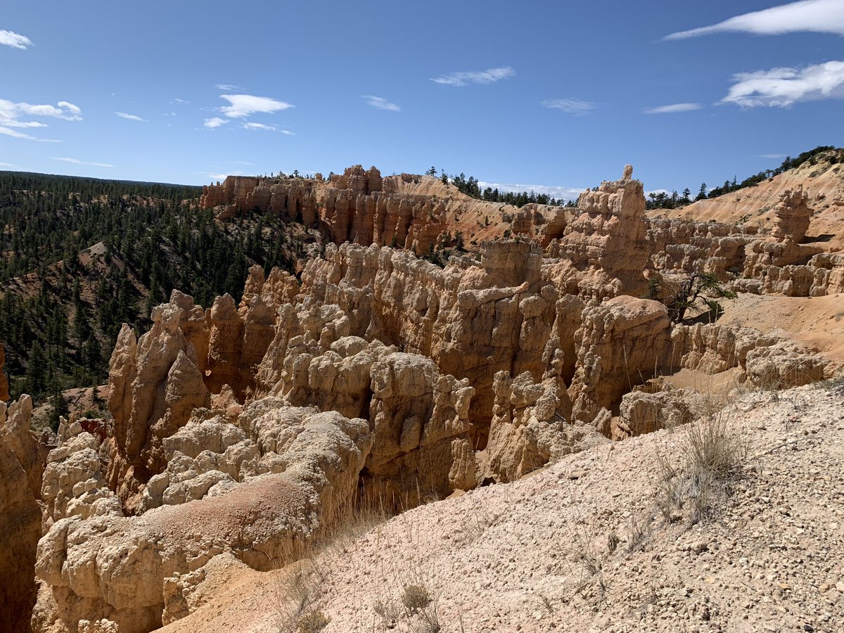 And some photos of the hoodoos in Bryce Canyon on the Rim Trail