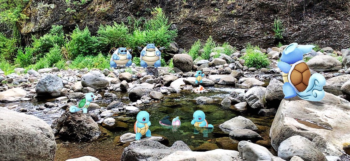 pkmnartographer's tweet photo. As summer winds down, I was fortunate enough to happen upon this Squirtle family enjoying some play time in the stream.
#Pokemon #PokemonGO #PokemonGOAR #GOSnapshot #Pokemonphotography #AR #ARtography #ARphotography #Squirtle #Wartortle #Blastoise #multimon

#ZTDNews https://t.co/IUaRSTv1af