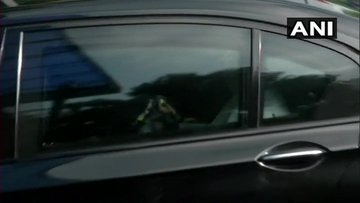 View image on Twitter