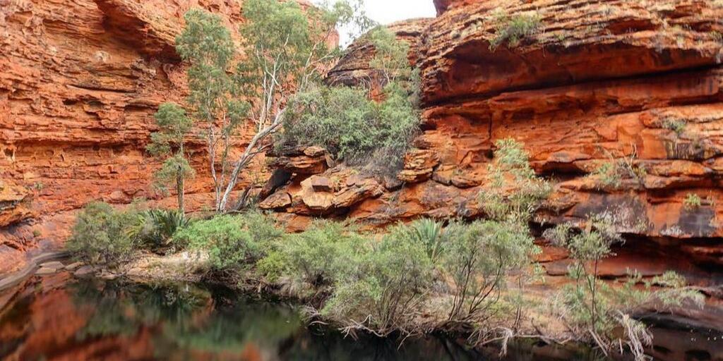 The best view on a morning? Probably it is #GardenOfEden😍