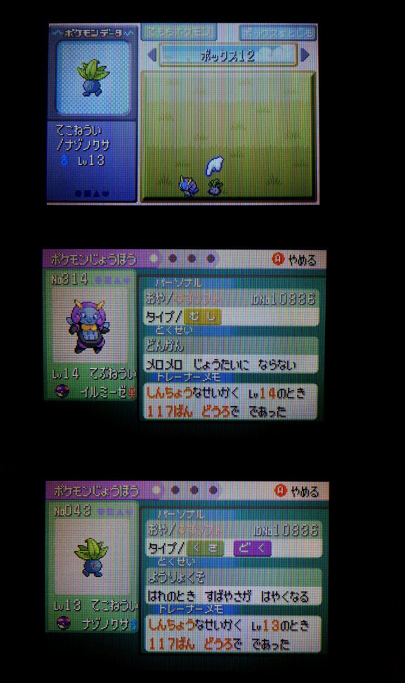 シロガネやまの住民 エメラルド プラプラのザロクバグ ２回目 コード実行用のポケモン用意してボックスの名前変えて戦闘エフェクトonにしてケーシィにテレポートしてもらうためにプラプラに べべべけべべべ ってもらってゲームをフリーズさr ん