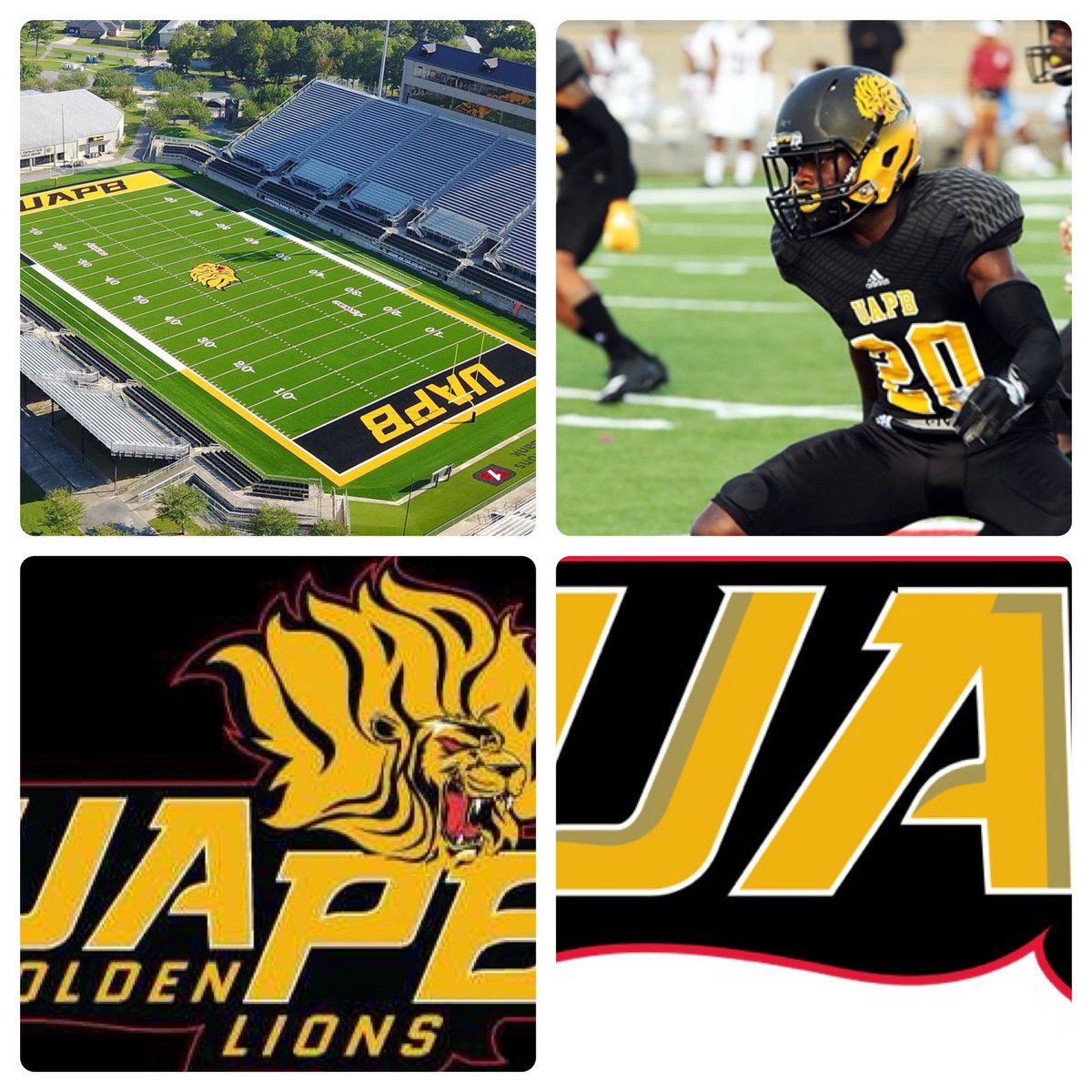 Rachaad White 1️⃣ tweet media