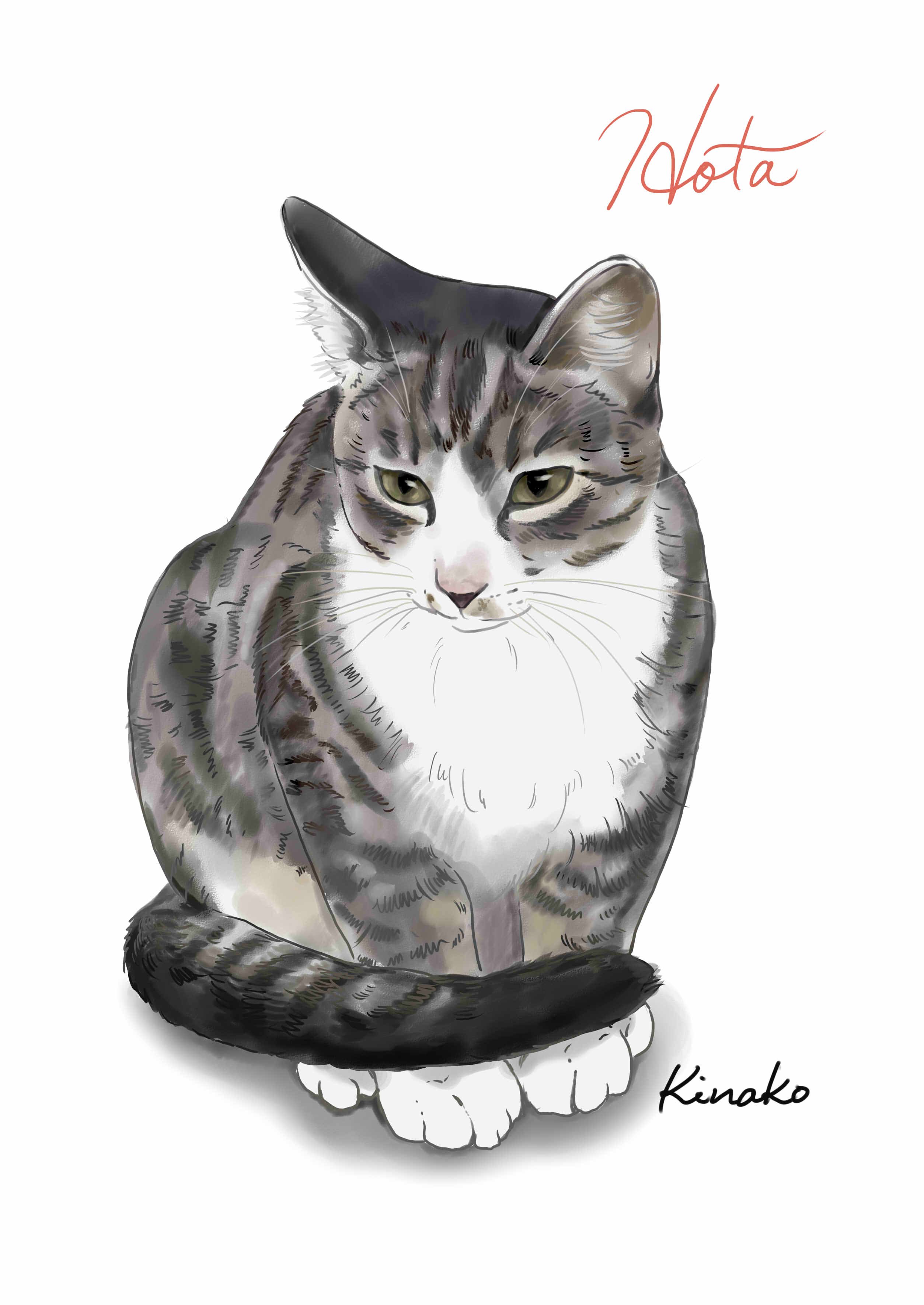 きなこ 猫の絵を描いています Na Twitteru Masuda3425 嬉しいです そう言っていただけると Twitter
