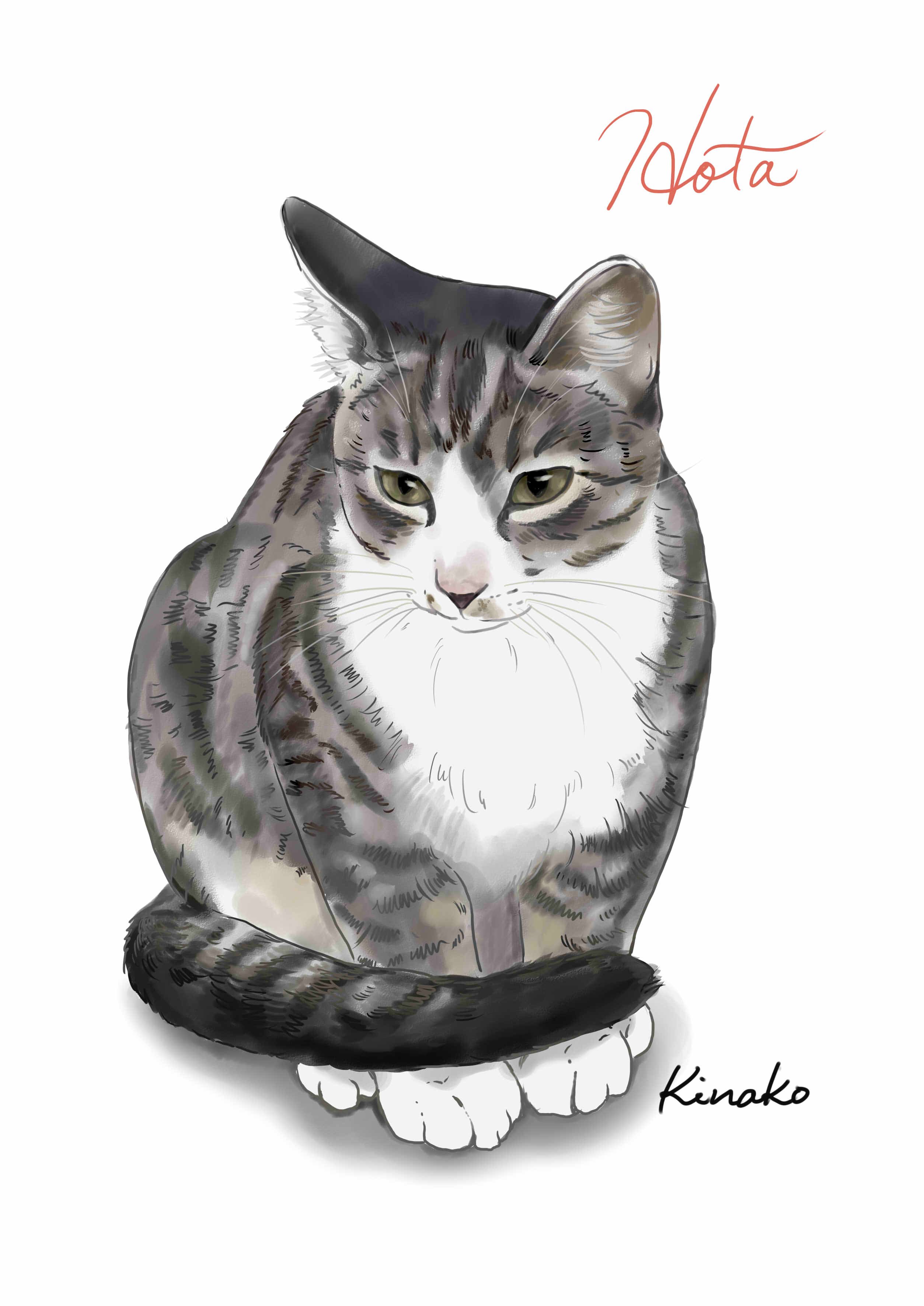 きなこ 猫の絵を描いています 河原の野良猫シリーズです この春生まれた オスミちゃんの子猫 ホタです だいぶ大きくなりました 大きな目がきれいです まだ人慣れしていないせいか 静止している写真があまりないので 細かいところは想像で描き