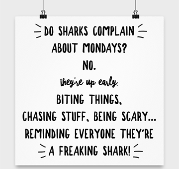 jc_ymca's tweet photo. #mondaymotivation #beashark #shoesandasmile #cantgetmedownmonday #chasestuff #bescary https://t.co/32gfIAukOa