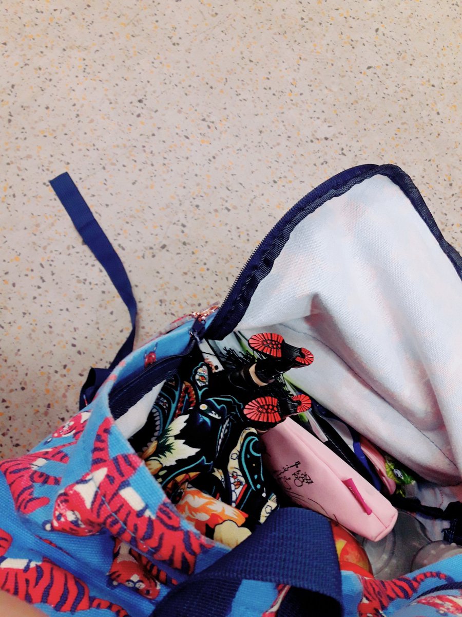 kiwiaste's tweet photo. traveling companion https://t.co/iSHqizyl5o