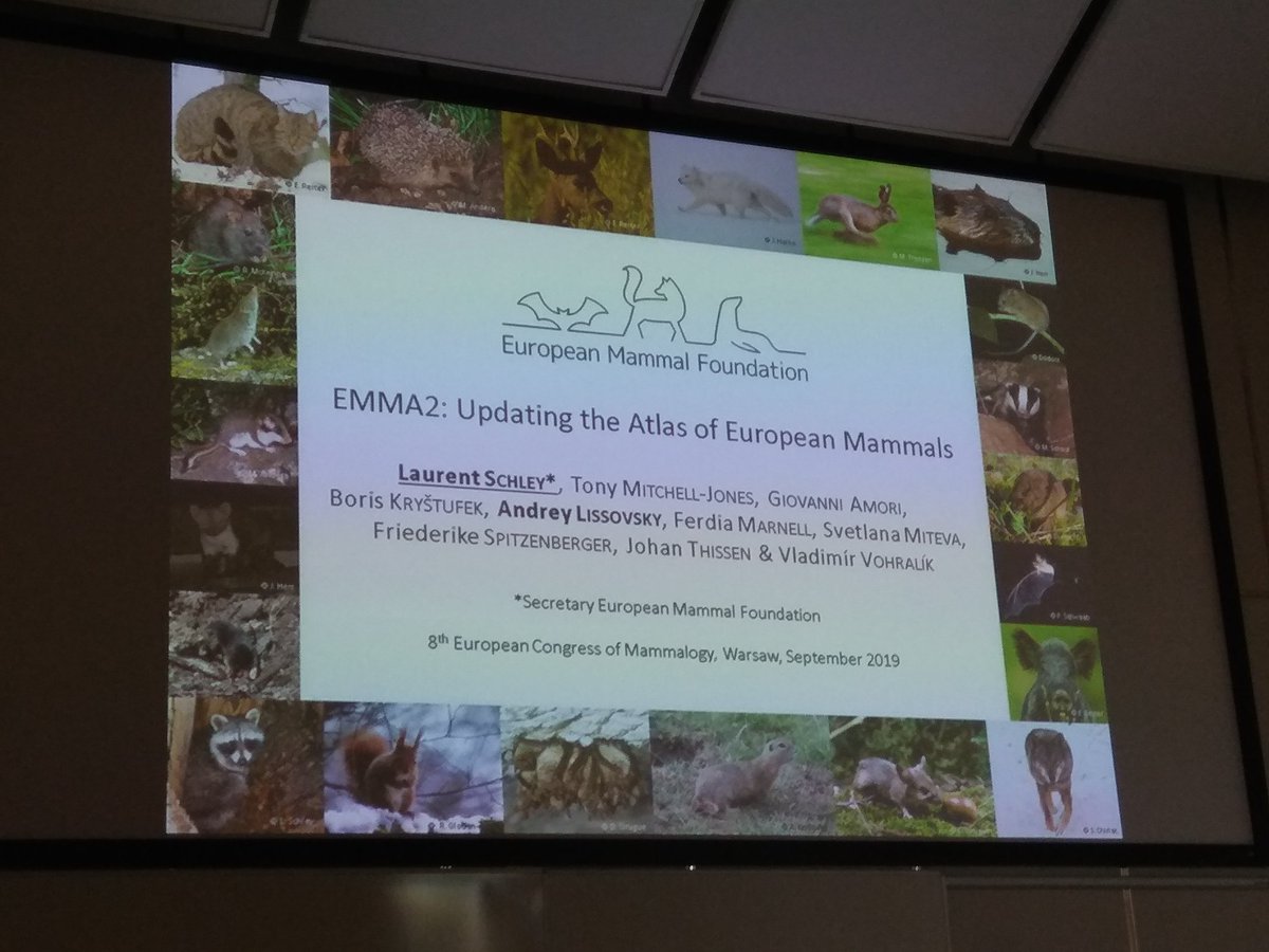 European Mammal Foundation (@euromammals) on Twitter photo Amazing talk from Laurent Schley about the #EMMF project at <a href="/EuroMammals/">European Mammal Foundation</a> #ECM8
Showing the dimension and importance of the project to further advance mammal knowledge around Europe!
#MammalAtlas #Mammals #wildlife Amazing talk from Laurent Schley about the #EMMF project at <a href="/EuroMammals/">European Mammal Foundation</a> #ECM8
Showing the dimension and importance of the project to further advance mammal knowledge around Europe!
#MammalAtlas #Mammals #wildlife