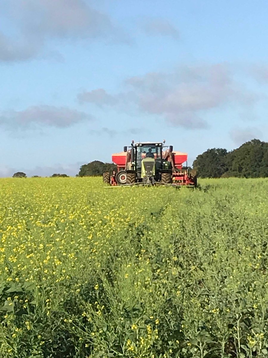 Pinsson Laurent tweet media