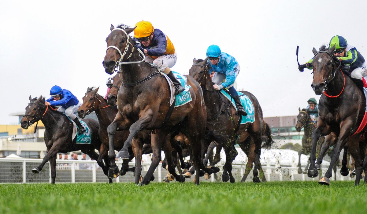 I Am Eloquent ridden by Stephen Baster wins the Aquis Jim Moloney Stakes for Pinchapoo at Caulfield @RacingInsider <a href="/FirstLight_FLR/">First Light Racing</a> <a href="/StephenBaster/">Stephen Baster</a> <a href="/MelbRacingClub/">Melbourne Racing Club</a> <a href="/busuttin/">Busuttin Racing</a>
