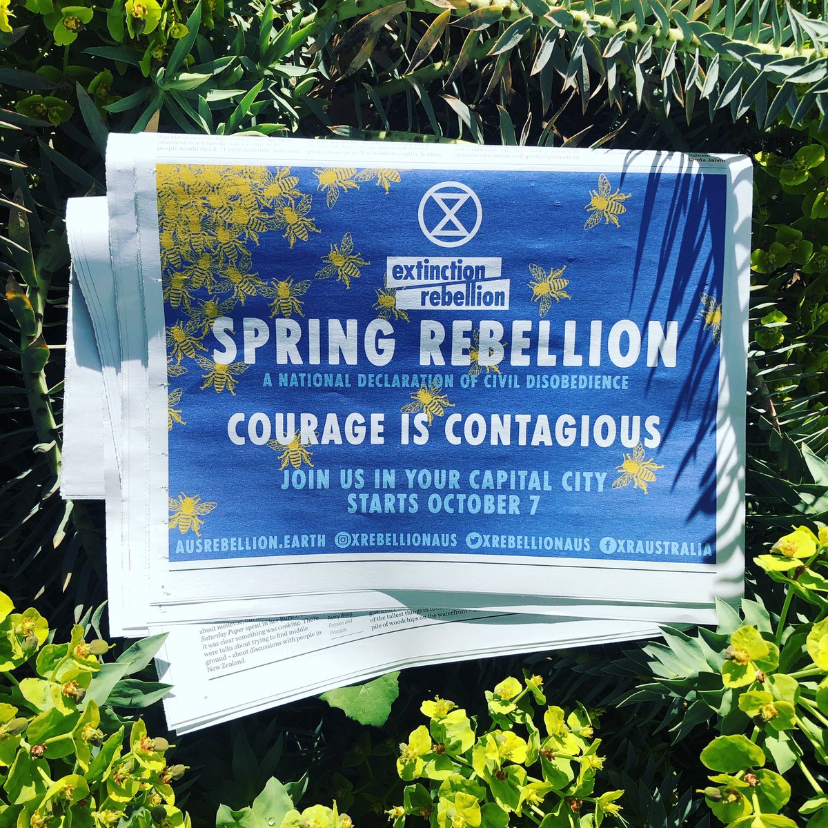 timread66's tweet image. Saturday Paper promoting #SpringRebellion #CourageIsCo tagious  Starts 7 Oct