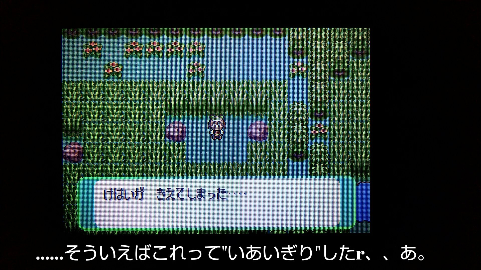 シロガネやまの住民 エメラルド プラプラのザロクバグ ２回目 コード実行用のポケモン用意してボックスの名前変えて 戦闘エフェクトonにしてケーシィにテレポートしてもらうためにプラプラに べべべけべべべ ってもらってゲームをフリーズさr ん