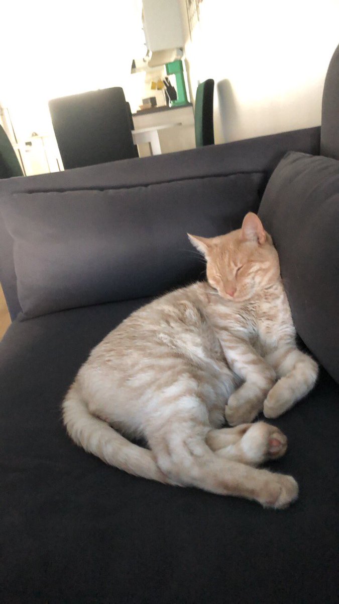 Erik Hansson tweet media