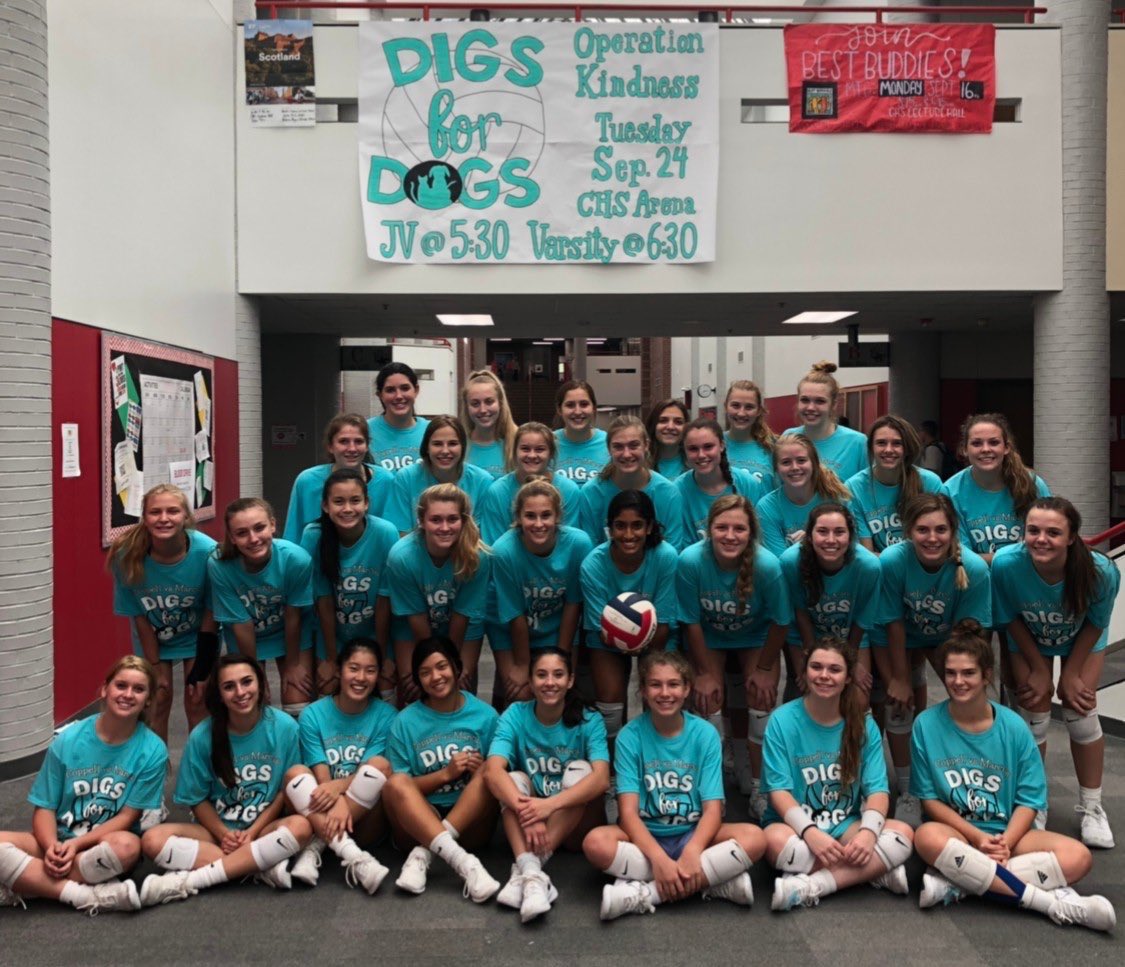 40_kaylee's tweet photo. come out and support digs for dogs this tuesday night at 6:30 in the arena!! all proceeds go to Operation Kindness and if you bring a donation you can get into the game for FREE!! @CowgirlVB https://t.co/jtXzVUYeZp