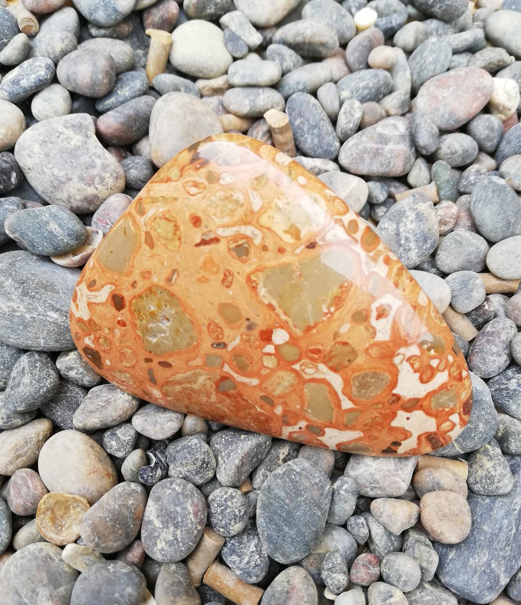 GemrockPeru's tweet photo. The palmstones arrive.. ✨ 💕
These beauties have just arrive in the shop. We keep producing beautiful things for you!
Ask for more information.. 📞 📲 😉 😃
#palmstones #Chrysocolla #Leopardite #natural #gemstones #highquality #highlypolished✨ #decor https://t.co/60s9fRWNlU