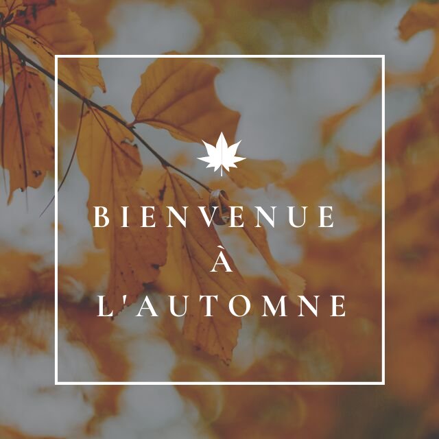 BaudiSophro's tweet photo. Bienvenue automne 👋 https://t.co/ybjcZKhGfW