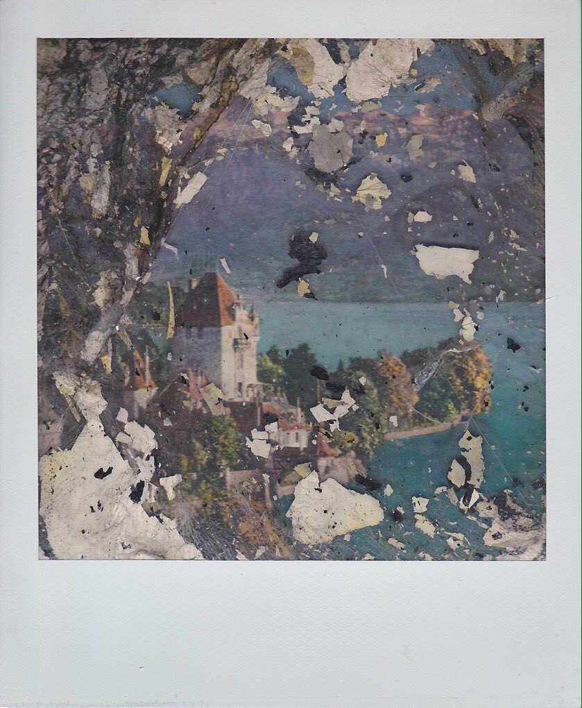 boddendijk1's tweet photo. Pre Polaroid Post https://t.co/ImKH7hOKEd