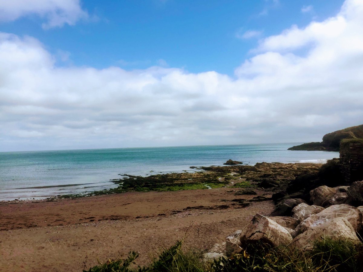 OldDevon's tweet photo. Man Sands, a beautiful, quiet beach near Kingswear, Brixham. A dip, a sketch, a dog walk or maybe just some peace....
#olddevonbirds #mansands #kingswear #brixham #devon #swcoastalpath #wildswimming #seaswimming #lovewhereyoulive https://t.co/AvxWvfrRH6