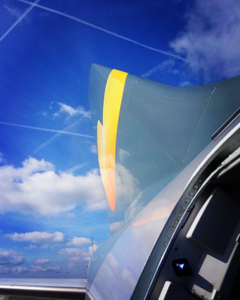 Sarah Jane Macuix tweet media