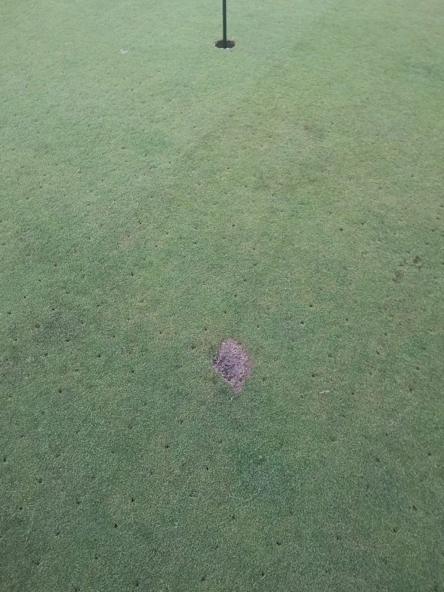 Thanks to the person that did this on our 17th green yesterday!!! 😡😡