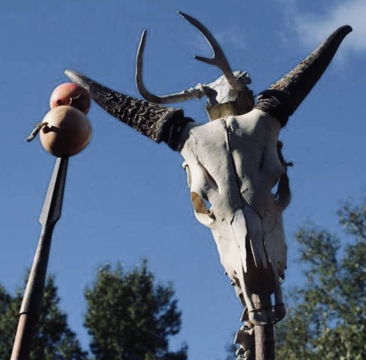 “Hoof and horn, hoof and horn,
All that dies shall be reborn.
Corn and grain, corn and grain,
All that falls shall rise again.” Warm Equinox greetings to all fellow travellers.