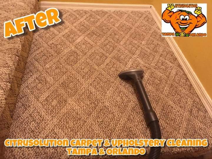 McCitrusolution's tweet image. 👨🏾&quot;#CitruSolution #Carpet #Cleaning&quot;

Tampa: ☎️ 813-743-9100
Orlando: ☎️ 407-347-6499