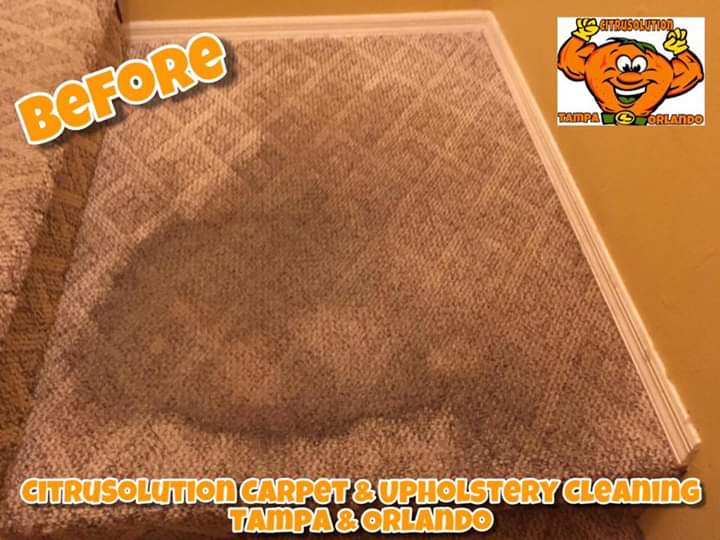 McCitrusolution's tweet image. 👨🏾&quot;#CitruSolution #Carpet #Cleaning&quot;

Tampa: ☎️ 813-743-9100
Orlando: ☎️ 407-347-6499