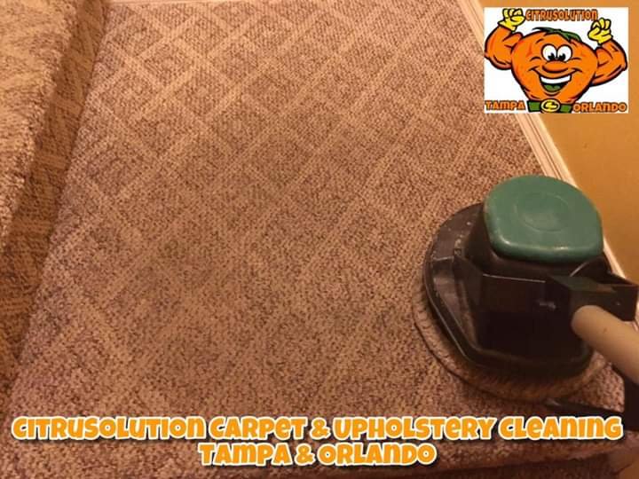 McCitrusolution's tweet image. 👨🏾&quot;#CitruSolution #Carpet #Cleaning&quot;

Tampa: ☎️ 813-743-9100
Orlando: ☎️ 407-347-6499