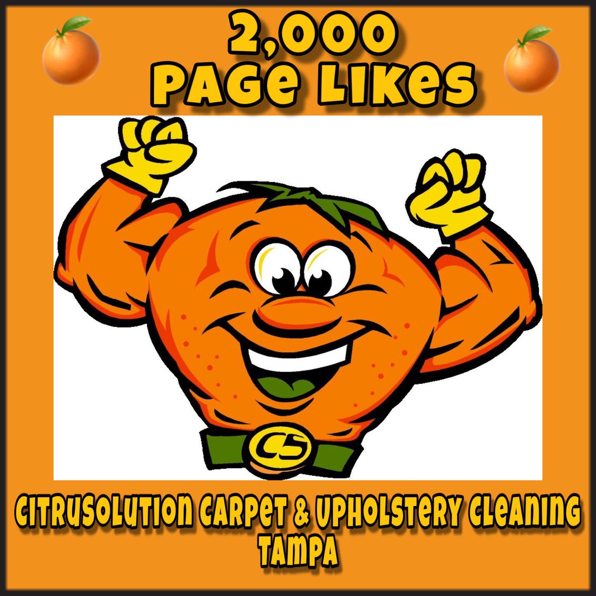 McCitrusolution's tweet image. Recently hit 2,000 page likes on our business Facebook page CitruSolution Carpet &amp;amp; Upholstery Cleaning Tampa!!  Thank you for all the support!  💪🍊