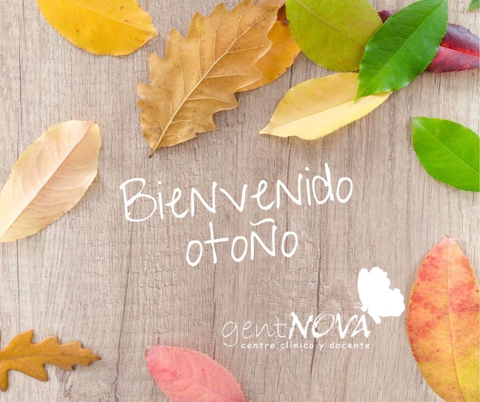 Gent_Nova's tweet photo. #otono #Otono2019 #FelizLunes #felizotoño https://t.co/5AdJyuFddT