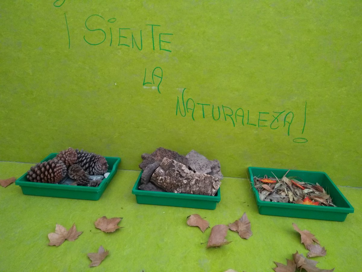 mcranea's tweet photo. !Bienvenido otoño!, !que bien nos ha quedado! #Seños1año @marcisnes @angienovaschool @afayllon #MalagaCentro @Novaschool_es @SilviaPalomoCis https://t.co/lJWQgqvE0x