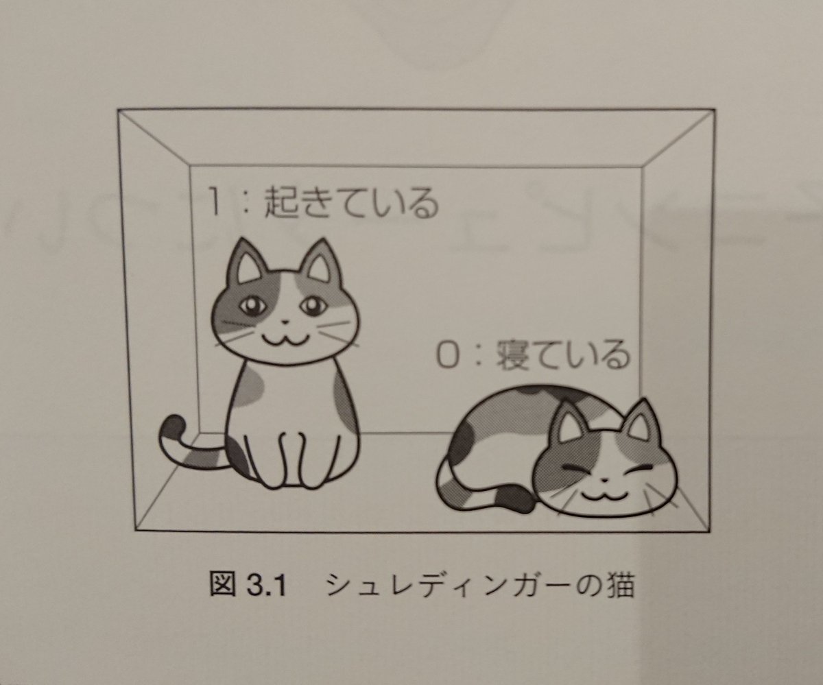 シュレディンガーの猫が動物愛護の関係で眠りだした 話題の画像プラス シュレディンガーの猫が動物愛護の関係で眠りだした 話題の画像プラス