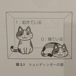 シュレディンガーの猫が動物愛護の関係で眠りだした!