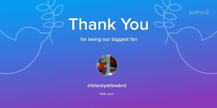 isbiltur1's tweet photo. Our biggest fans this week: blackyellowbrd. Thank you! via https://t.co/hylQrUwo20 https://t.co/UO6WnCPUmj