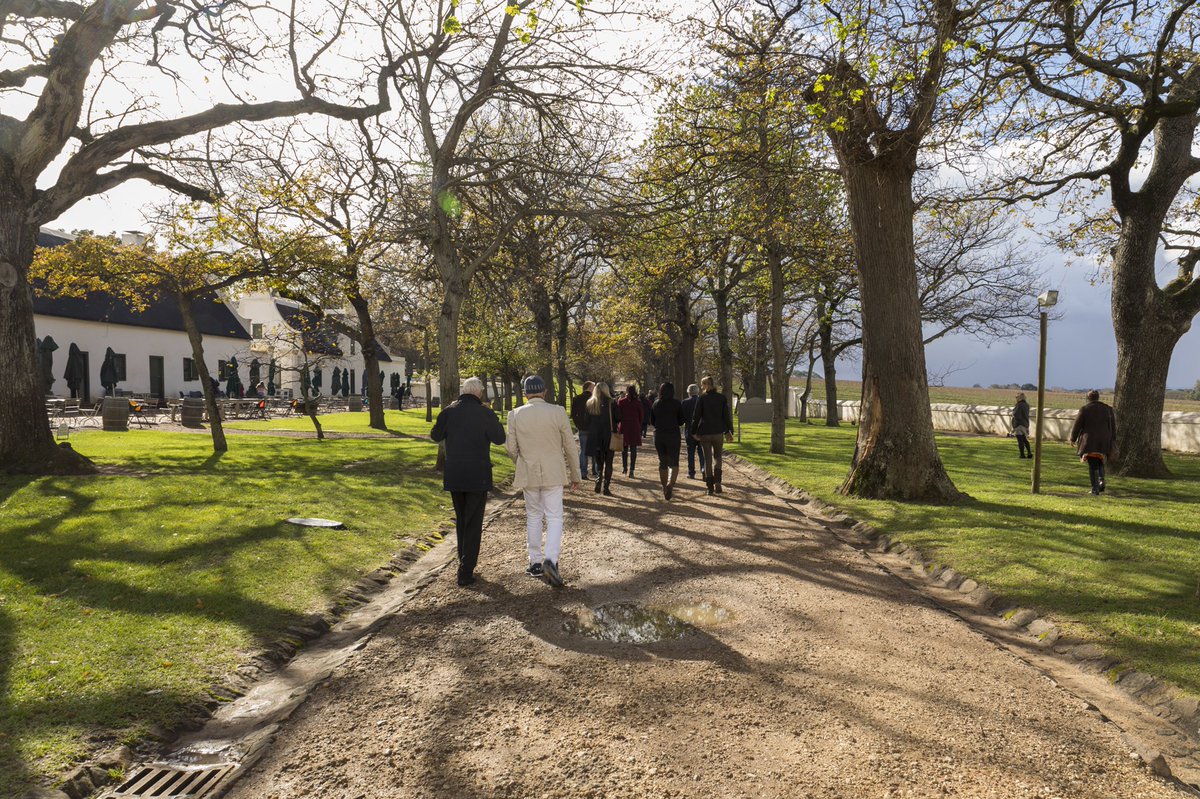 GrootConstantia's tweet photo. Take a walk back in time to discover why Groot Constantia is South Africa’s oldest wine Estate.
#walkingbackintime #celebrate334abundance #feelgrootconstantia
https://t.co/eGszL88Sij https://t.co/I4tPk29Eft