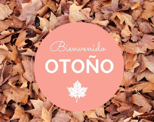 3, 2, 1...🍁🌰🎃 Empezamos la semana estrenando nueva estación, ¡bienvenido #otoño! 📆