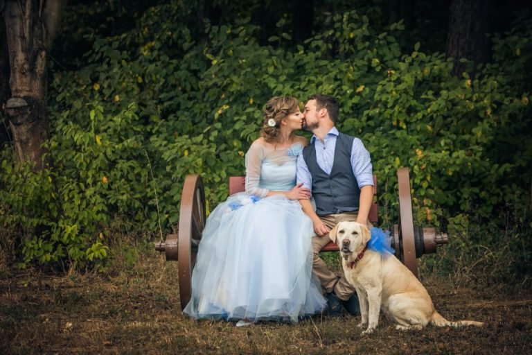 REAL WEDDING // A snapshot of Agata &amp; Adam's beautiful day featuring a BLUE wedding dress, a golden Labrador and a whole lot of fun. Photography by <a href="/youngerphoto/">Younger</a>  dearlybeloveddesign.co.uk/blog/real-wedd… #realwedding #blueweddingdress #weddingdog #bespokewedding #dearlybelovedesign