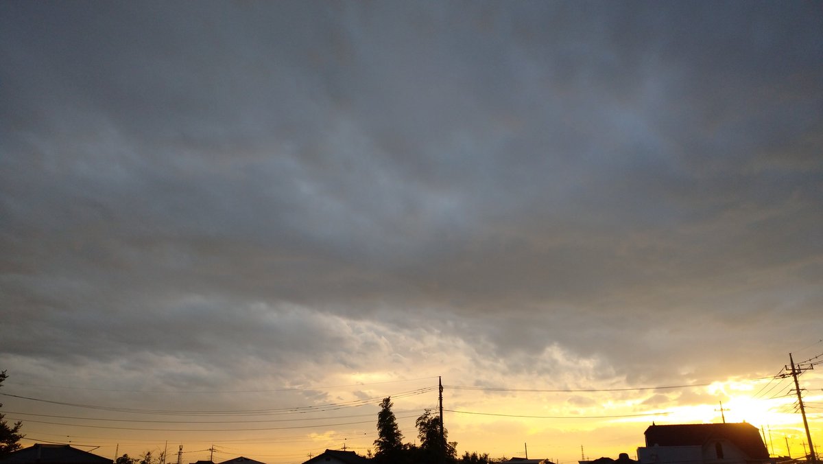 明日はどんな日 Hashtag On Twitter