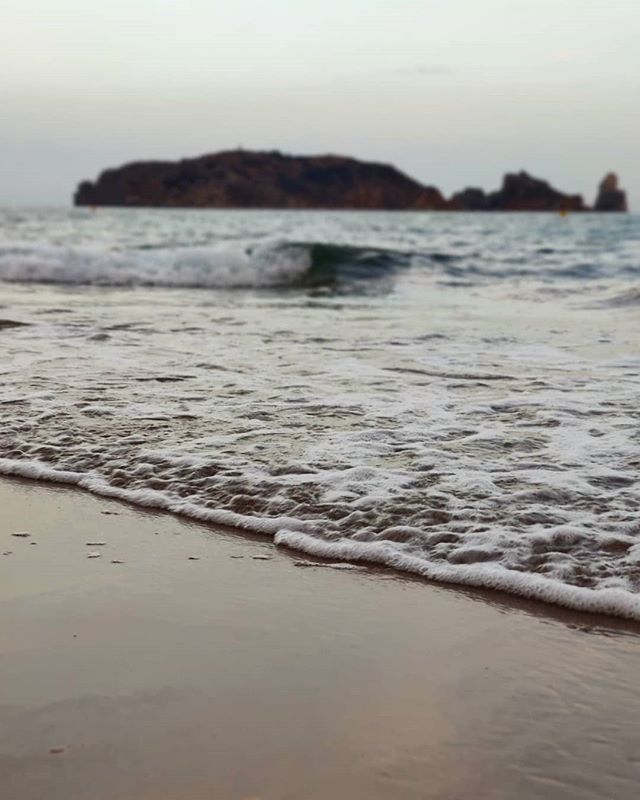 VisitEstartit's tweet photo. Bon dia! 🍃Tardor és temps de canvis.. Què en penseu, hi esteu d'acord?
.
¡Buenos días! 🍂Otoño es tiempo de cambios.. Qué pensáis, ¿estáis de acuerdo?
.
#Tardor #autumn #otoño #Visitestartit #VisitTorroella #catalunyaexperience #incostabrava #quebonic… https://t.co/1564eDCKEU https://t.co/rFYkUcAkGM
