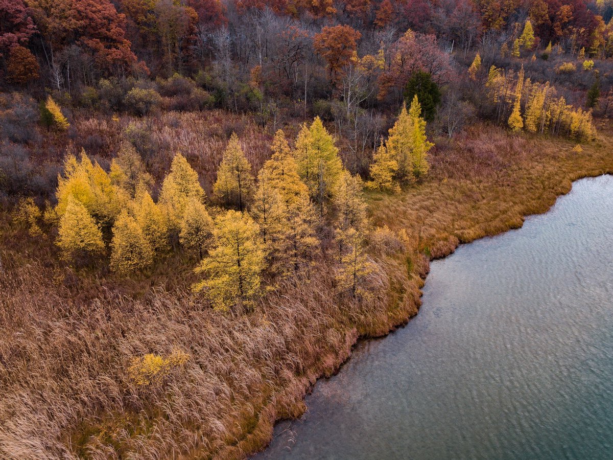 Tripnastic's tweet photo. ¿Ya has pensado tu destino otoñal?
Dale la bienvenida al #Otoño de la mejor manera... ¡viajando! 🙂
https://t.co/rwPLfjAL9A https://t.co/4EpFKAhOAq