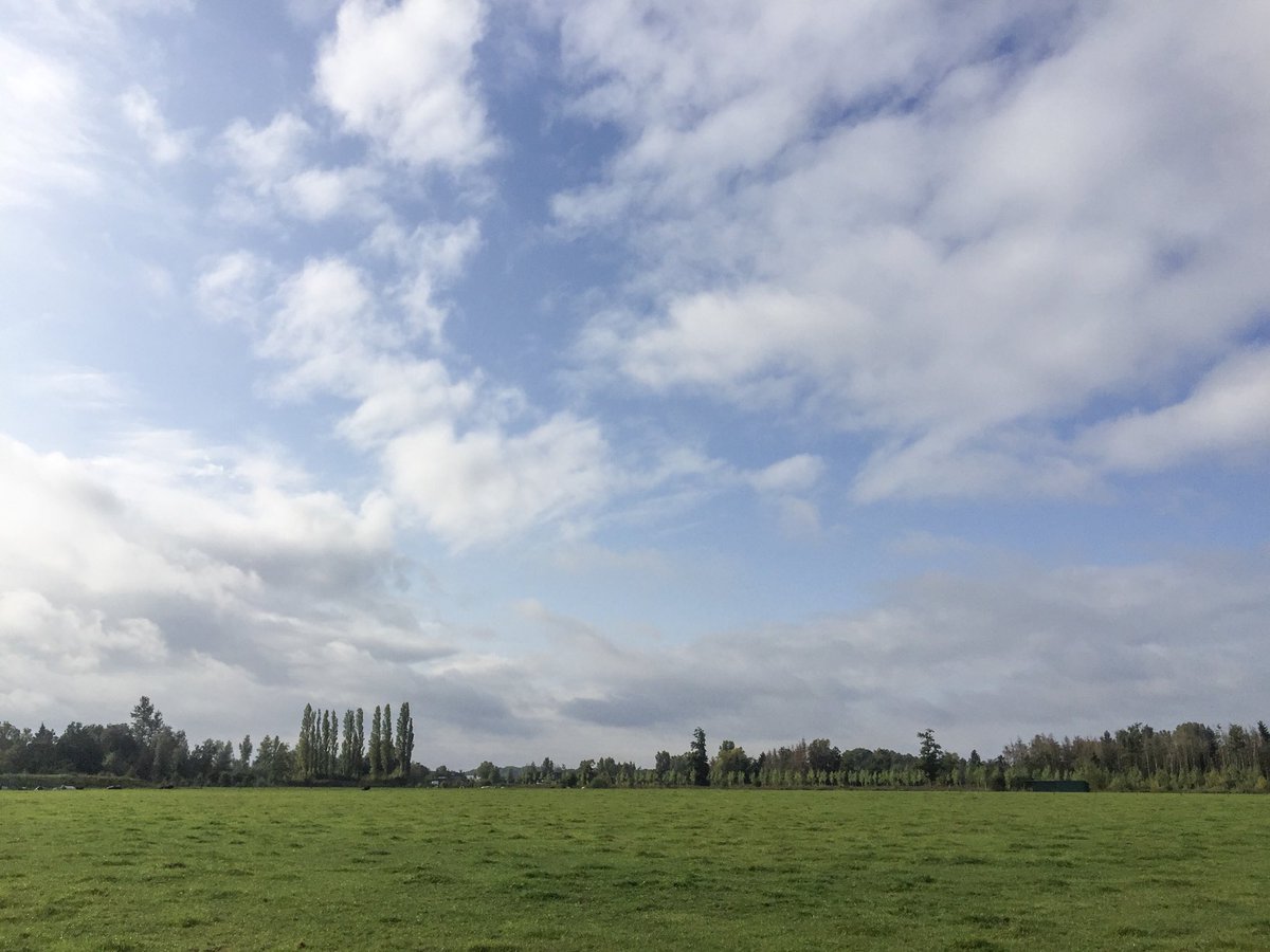 Marc Van Wezemael tweet media