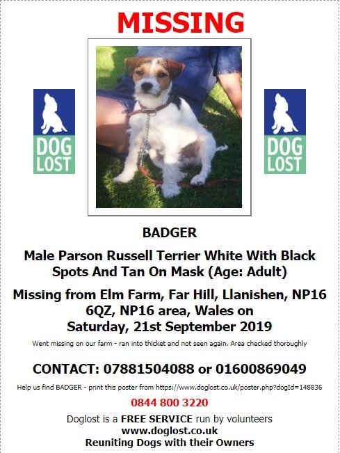 GG01 (@gelert01) on Twitter photo ‼️#ElmFarm #FarHill #Llanishen #NP16 6QZ‼️
💔#Badger a #Parsons #Russell  #Terrier white with black spots a& tan on mask. 
Missing since 21/09/2019 
Have you seen #Badger? ‼️#ElmFarm #FarHill #Llanishen #NP16 6QZ‼️
💔#Badger a #Parsons #Russell  #Terrier white with black spots a& tan on mask. 
Missing since 21/09/2019 
Have you seen #Badger?