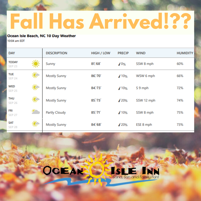 Oceanisleinn's tweet photo. We're so glad that #fall has finally arrived here on the #OIB beach. We hope your brought your sunscreen, sunglasses, bathing suit and cold beverages! If you don't have a reservation with us to enjoy this amazing weather - make one today! https://t.co/jydIlR1A9y https://t.co/QVuRVAfZn3