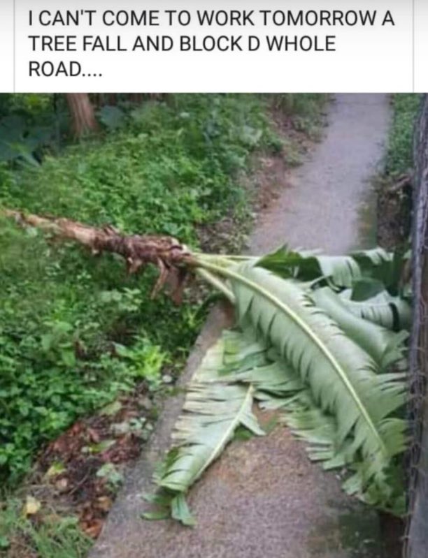 kinnsiee's tweet image. Some Trinis out there!!! 

But it’s really my #dayoff #restandreflect #smile #Thankful